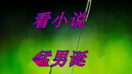 连载小说《猛男诞》全文免费阅读