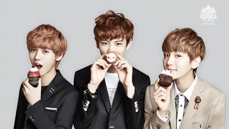 电脑明星静态壁纸>exo朴灿烈边伯贤鹿晗桌面壁纸壁纸壁纸图片下载电脑