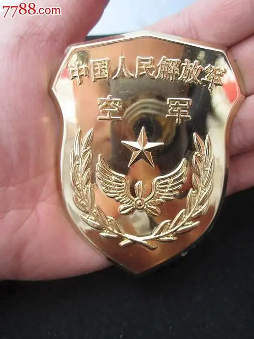 空军臂章造型的铜臂章