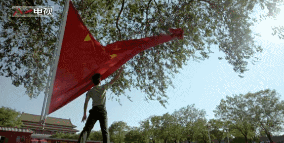 575_290gif 动态图 动图