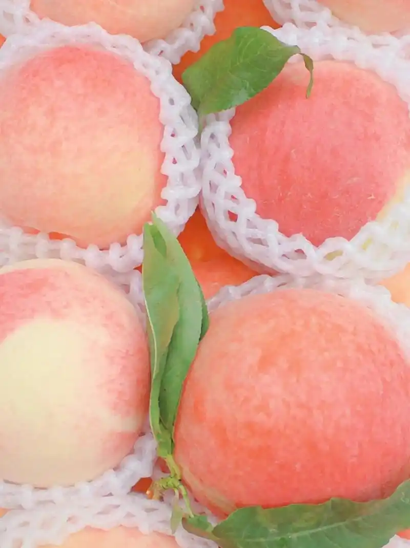 夏日清凉水果手机壁纸分享 西瓜 91 葡萄 99 柠檬 93草莓91