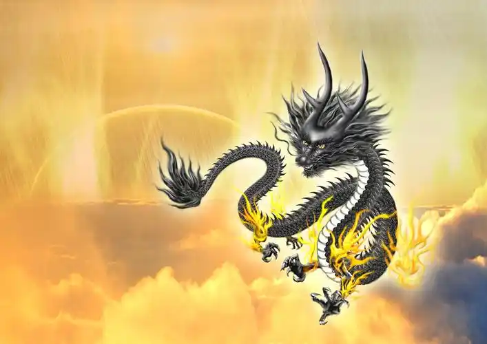 黑金龙,北玄神龙=中天法门