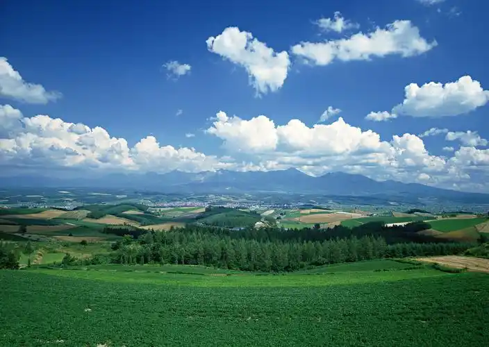 蓝天白云田地图片自然风景草地蓝天蓝天白云白云绿地田地
