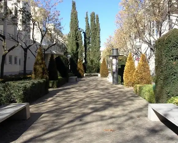 卡斯蒂利亚拉曼查大学universidad de castilla la mancha