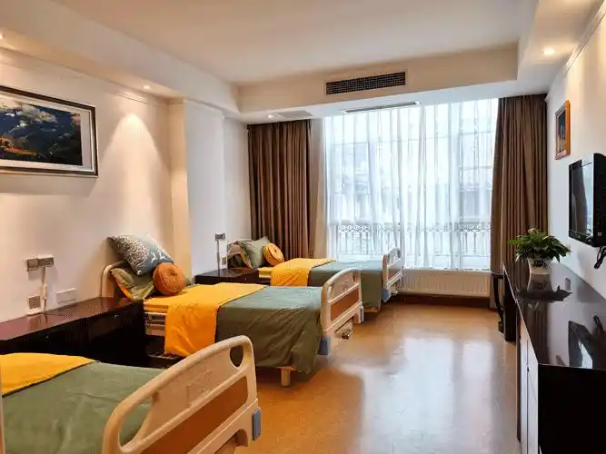 医养结合养老院建设项目可行性报告计划书