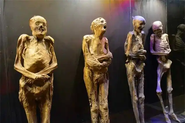 木乃伊会吃人明明是人吃木乃伊