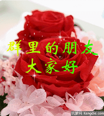 我的妈呀牛牛牛牛牛牛牛牛太牛了忍不住给你看看这辈子见一次值了