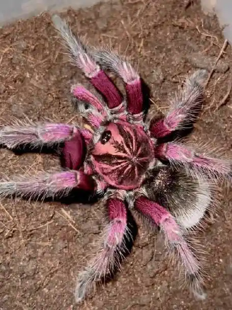 leekin同学要勇往直前吖的微博_微博