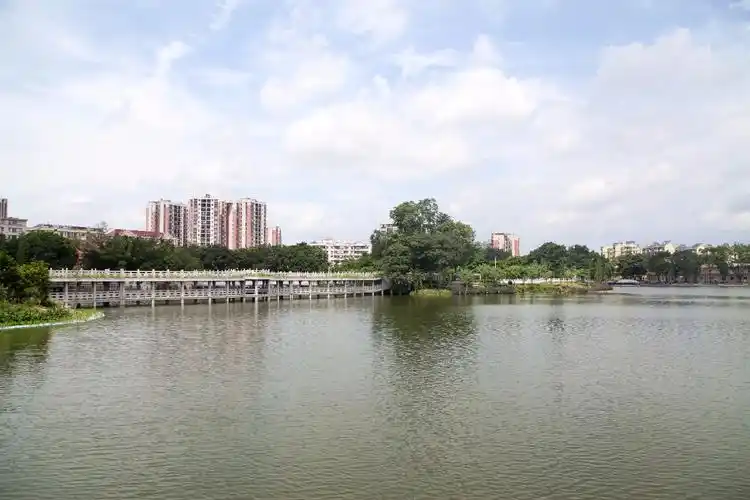 江门鹤山网页设计_(江门鹤山网红打卡景点)