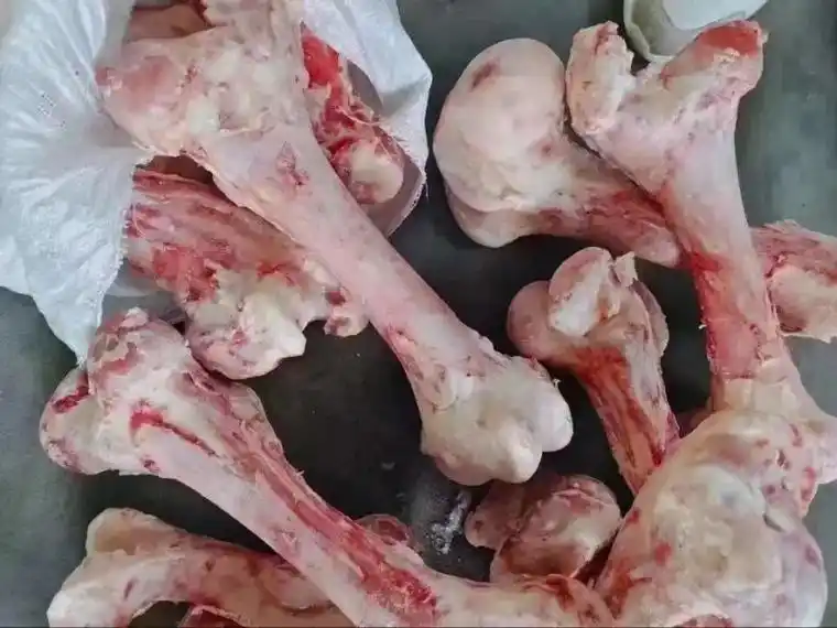 我要上热门 #牛棒骨,国产纯原牛棒骨,20吨国产纯原牛棒骨 - 抖音