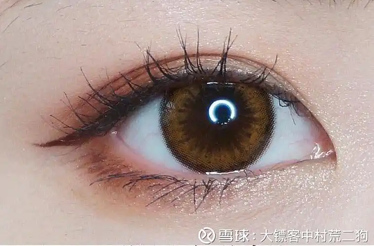 桃花眼四周略带粉晕,眼型似若桃花,水汪汪的,眼尾呈平行. - 雪球