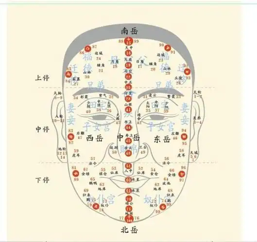 面相十三行:人脸的中轴线,富贵贫贱,尽在此中