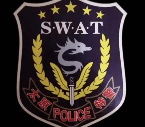 全国特警臂章大全