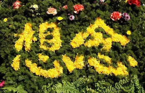 清明节的思念,悼念远在天堂的亲人!