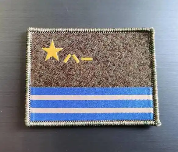 臂章_作训服_军旗