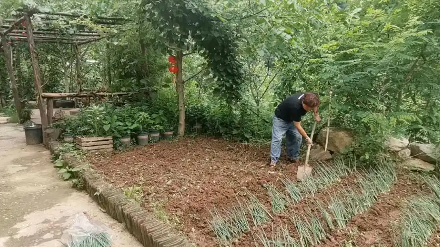 田园生活最真实的样子简单而快乐
