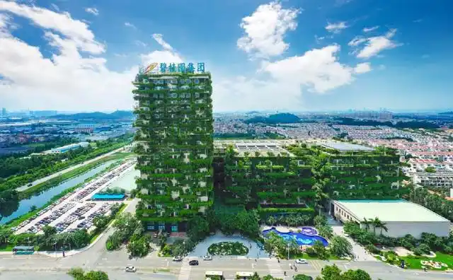 碧桂园聚焦"人才"振兴 产业扶贫为乡村引"活水"