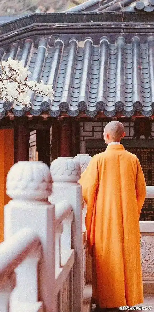 南京灵谷寺最帅和尚走红后被曝风流史该法师假的