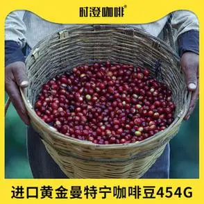 印尼苏门答腊黄金曼特宁咖啡豆g1进口咖啡豆手冲单品1磅454g