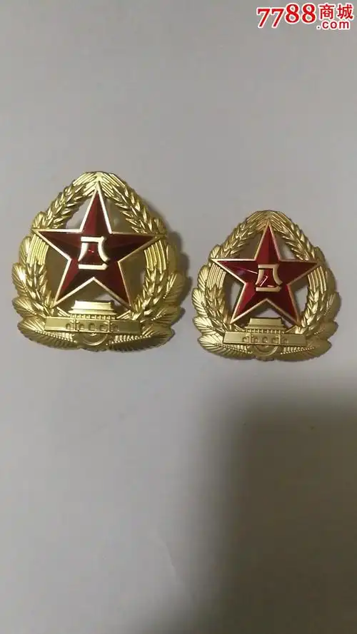 零七帽徽.大小一组