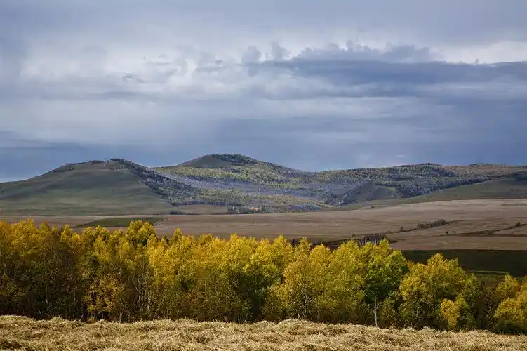 不记得上一次去内蒙古大草原是什么时候了,那时候还有点小,只记得吃了