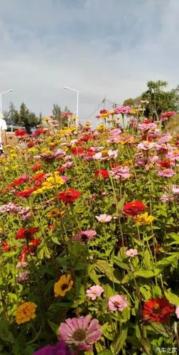 【汽车之家16岁生日快乐】【cs95】自驾游;石狮花海谷公园