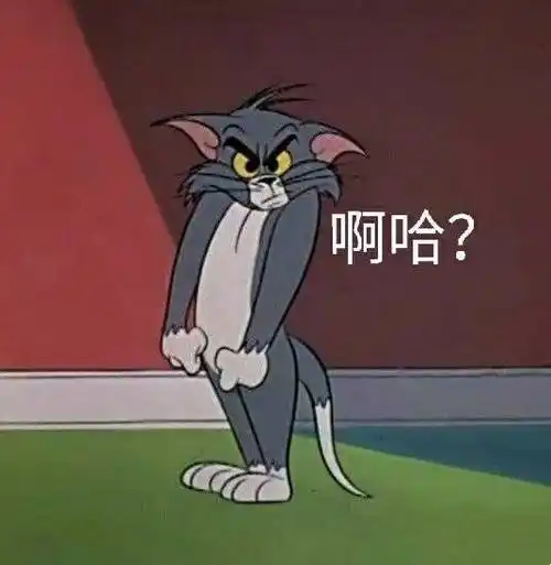 (猫和老鼠汤姆猫)