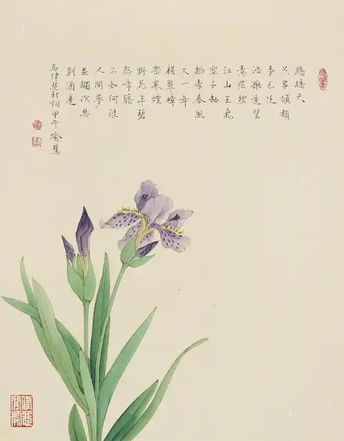 0127 甲午(2014年)作 鸢尾 镜心 设色纸本