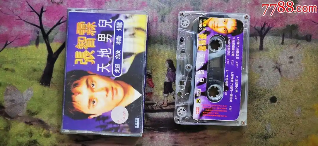 张智霖天地男儿磁带