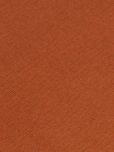 dolce&gabbana 焦糖色圆领短袖卫衣