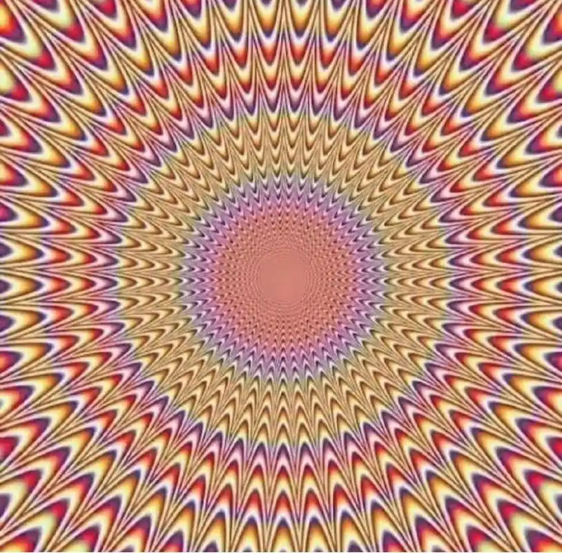 盘点会动的图片