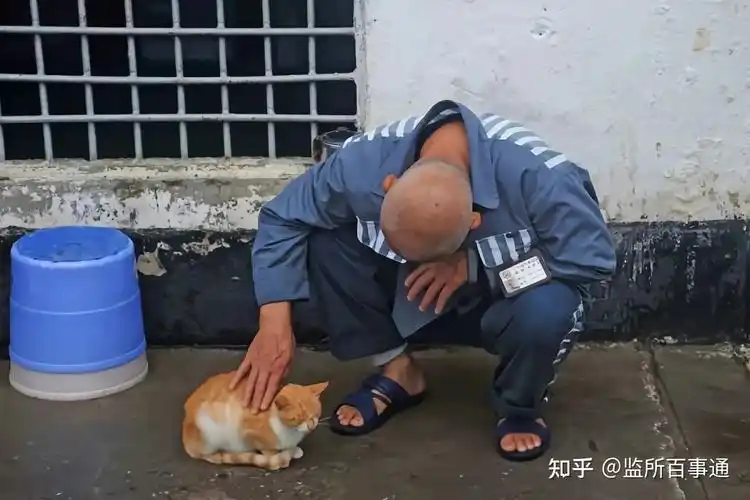 监狱里上了年纪的犯人要劳动吗