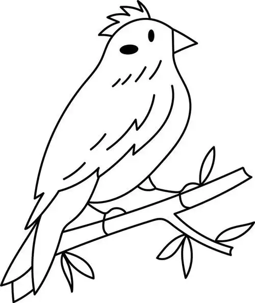 小鸟简笔画如何画?