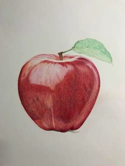 彩铅水果系列-苹果|纯艺术|绘画|金波大叔 - 原创作品 - 站酷 (zcool)