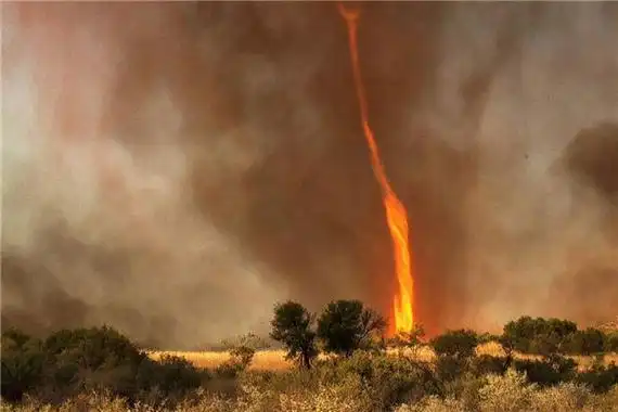 世界上最大的火焰龙卷风1925年发生在美国