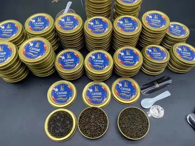 正宗俄罗斯鲟鱼子酱批代