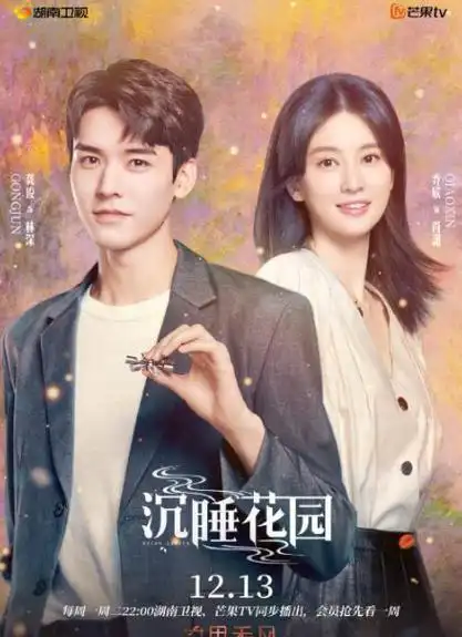 有什么好看的偶像剧推荐公认看的电视剧