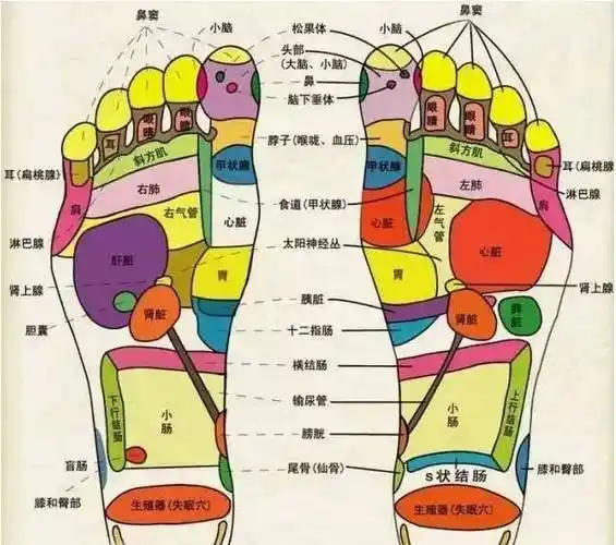 脚是人体的第二心脏足底艾灸胜过吃人参千万别错过