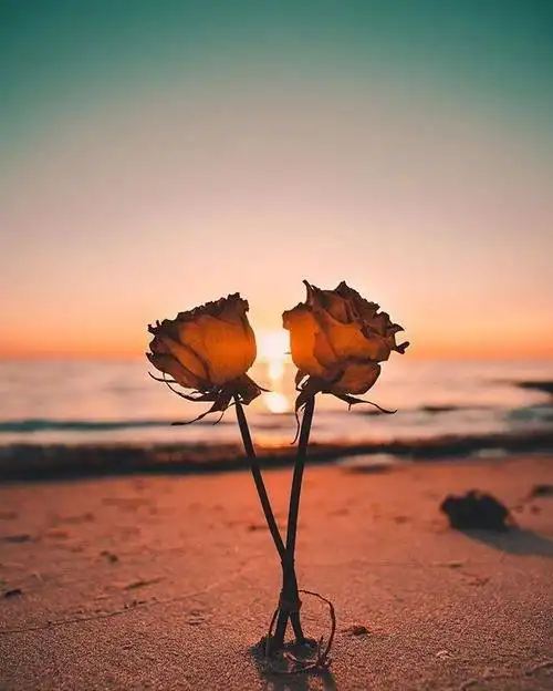 有内涵的经典励志句子早起必看