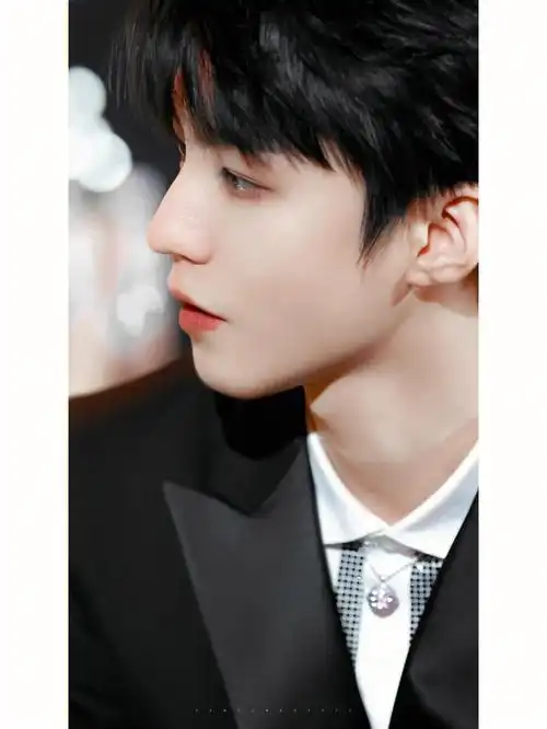 王俊凯的侧颜是可以申遗的程度