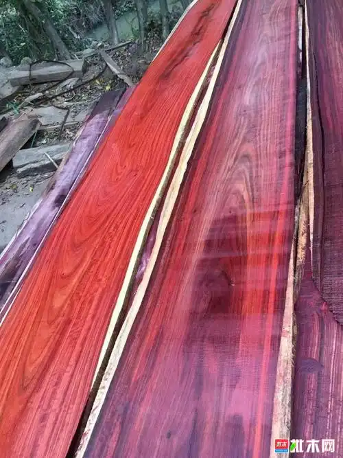 坦桑红酸枝 非洲酸枝 红檀香 - 批木网