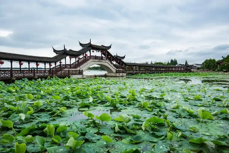 我眼中的锦溪古镇