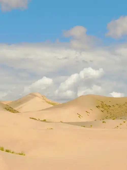 笔记灵感8月的青海真的太美了宁静的草原热情的沙漠平静的青海湖