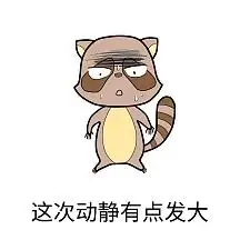 表情包这次动静有点发大小浣熊惊慌出汗
