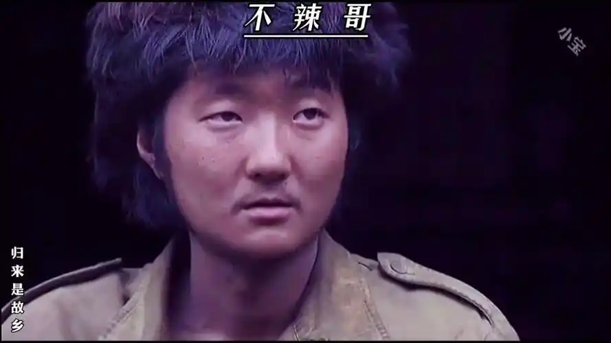 "管长,人在枪在呢"不辣哥才是作者最喜欢的角色#我的团长我的团