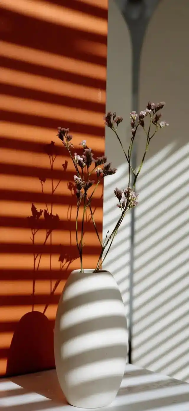 高级感小众壁纸来啦