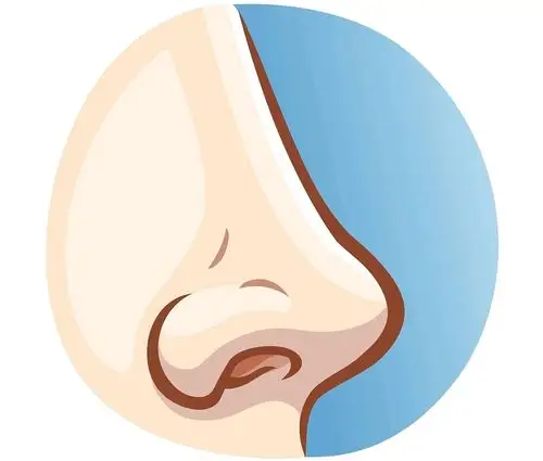 综合鼻整形的重点是强调用软骨塑造鼻尖的形态,毕竟鼻尖是一个鼻子