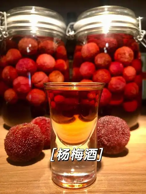 杨梅酒的功效与作用(三种人不宜喝杨梅酒)