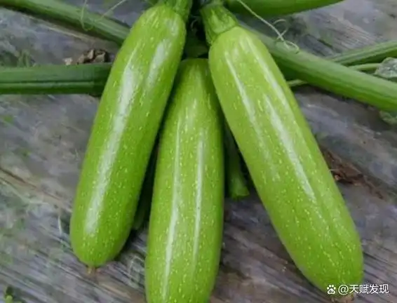 葫芦瓜的营养及食用禁忌