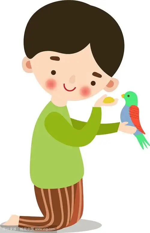 可爱的小男孩用鸟食喂鸟